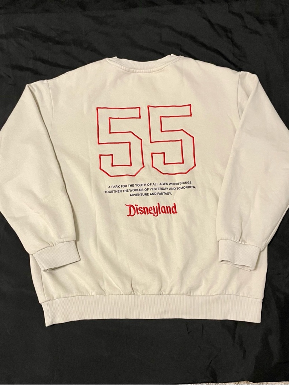 Disneyland Resort "55" Symbols Cream Crewneck Sweatshirt - Size XL - EUC - Picture 5 of 12